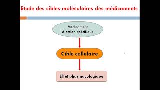 cour7 mécanisme daction des médicaments la pharmacodynamique [upl. by Ayo]