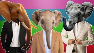 Funny Elephants  Coffin Dance Song PART 17 COVER [upl. by Alekal]