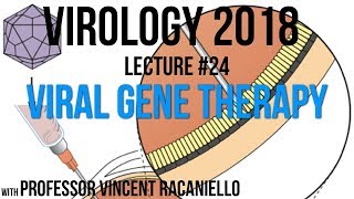 Virology Lectures 2018 24 Viral Gene Therapy [upl. by Nanete]