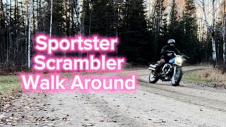 Sportster Scrambler Build Walk Around [upl. by Cosme]