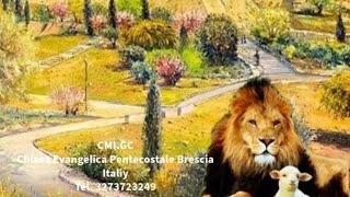 IL LEONE E LAGNELLOLA VITA ETERNA [upl. by Anerdna866]