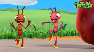 Hotshots 🔥  ANTIKS  Moonbug Kids  Funny Cartoons and Animation [upl. by Ardiedak978]