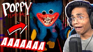 WHY IS THIS GAME SO SCARY Poppy Playtime  Bixu [upl. by Enirual]