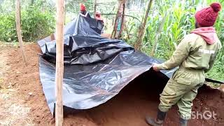 placing the dam liner to our azolla pond [upl. by Ambrogio]