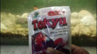 Tokyu fish pellets the pellets make your fish happy [upl. by Nonnaer917]