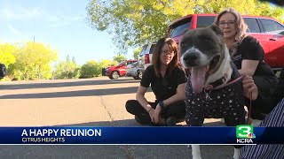 Maya the dog helps save owner from Citrus Heights fire [upl. by Arika791]