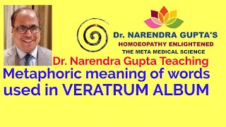 Dr Narendra Gupta explaining METAPHORIC meaning of words used in VERATRUM ALBUM [upl. by Bonneau691]