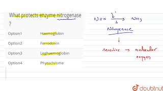 What protects enzyme nitrogenase [upl. by Banks484]