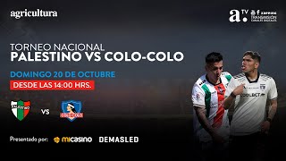 Palestino vs ColoColo  Torneo Nacional  Fecha 28  20102024 [upl. by Ioyal122]