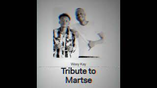 Tribute to Martse by Waxy Kay Official audio MP3 imfayamartse [upl. by Ylliw820]