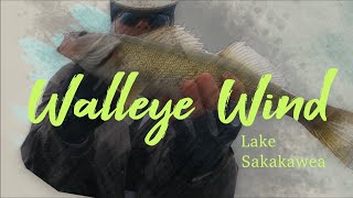 Walleye Wind  Lake Sakakawea w Bloemendaal Guide Service [upl. by Tommi]