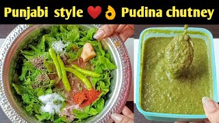 पुदीना चटनी 😋 Pudina chutney recipe  Pudina chutney without corianderdhaniya  Mint chutney recipe [upl. by Barbra]