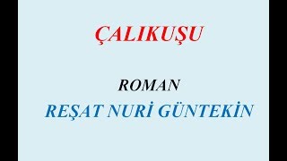 ÇALIKUŞU ROMAN ÖZET [upl. by Ruffina168]