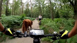 MTB route Rheden 4K [upl. by Quenna]