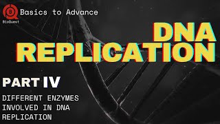 Proteins Involved in DNA Replication  DNA Replication  Part 4  Basics to Advance [upl. by Madella259]