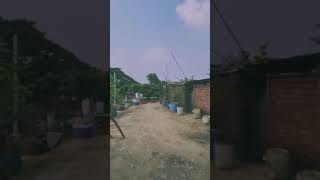 ভান্নারা বাজার 🙆‍♂️😅 viralvideo viralvideo jd jokes ofw foryou beautiful best viralvideo [upl. by Haveman]