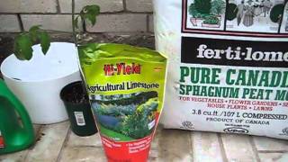 OffGrid SelfWatering Container Gardening System Container amp Soil Mix [upl. by Eneladgam821]