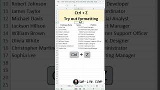 Excel Shortcut Ctrlz applications excel [upl. by Merete]