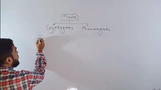 Classification of Plants  class 9  lecture 3 Cryptogams and Phanerogams [upl. by Awjan]