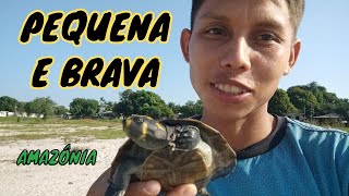 🐢Soltura de uma linda tracajá 🌿 [upl. by Esiuqcaj]