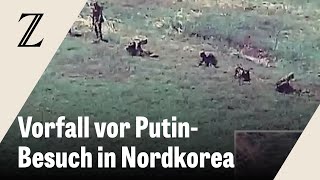 Südkorea feuert Warnschüsse auf nordkoreanische Soldaten [upl. by Gilmour390]