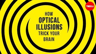 How optical illusions trick your brain  Nathan S Jacobs [upl. by Attezi884]