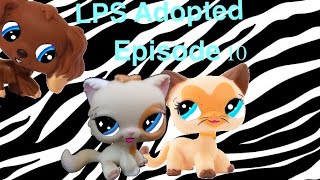 LPS Adopted Episode 10 quotNew Girlquot [upl. by Cirilla]