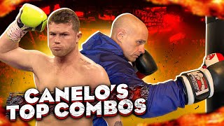 10 Canelo Combos for the Heavy Bag [upl. by Analart]