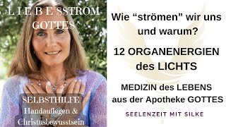 12 ORGANENERGIEN des LICHTS zur Befreiung von Körper Geist und Seele aus der Illusion WIE STRÖMEN [upl. by Hamforrd241]