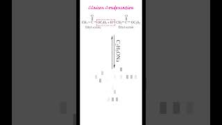 Claisen Condensation  ethyl acetate to ethyl acetoacetate  betaketo ester  Land of Chemistry [upl. by Lirba]