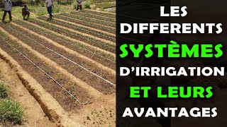 Les différents systèmes dirrigation en agriculture et leurs avantages [upl. by Kaczer220]