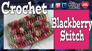 Crochet Black Berry Stitch  BEGINNER [upl. by Aynwat]