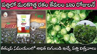 Rasi Swift High yield Cotton seed telugu  తక్కువ కాలంలో అధిక దిగుబడి ఇచ్చే పత్తి విత్తనాలు [upl. by Nosnarb]