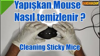 Yapışkan Mouse Nasıl Temizlenir  Sticky Mice Cleaning [upl. by Roberto]