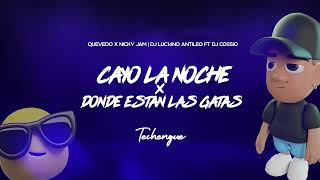 CAYO LA NOCHE GATAS Techengue  DJ Luc14no Antileo Ft DJ Cossio [upl. by Acirret]