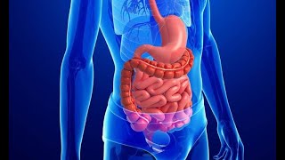 Drugs for gastrointestinal tract disorders أدوية أمراض الجهاز الهضمي [upl. by Abdella]