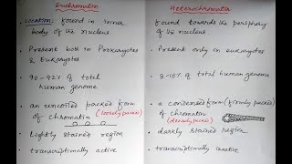 Euchromatin Vs Heterochomatin pharmacology cellbiology biology [upl. by Nesyaj885]