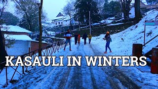 Kasauli in Winters  Himachal  February  Snowfall  Weekend Getaway  Ep1  Shashwat Khare [upl. by Ellynad]