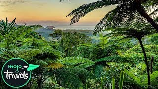 Top 10 Beautiful Rainforests [upl. by Alberto758]