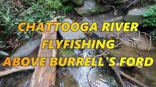 Flyfishing on the Chattooga River above Burrells Ford near Elicots Rock Wilderness Area [upl. by Nial652]