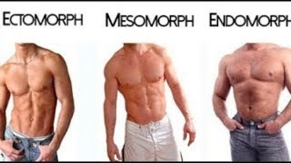 Ectomorph  Endomorph  Mesomorph  The 3 Different Body Types [upl. by Hgielanna]