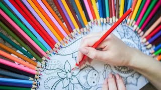 Best Markers for Adult Coloring Books of 2024 Updated [upl. by Appel]