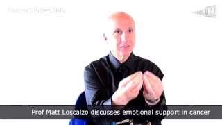 Ask the Expert Prof Matt Loscalzo LA on Emotional Support Families amp Cancer [upl. by Othelia354]