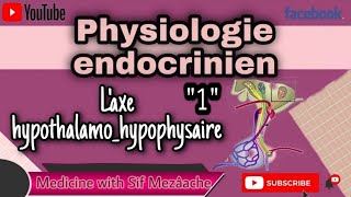 11 Axe Hypothalamo Hypophysaire  Partie 01  Physiologie 2éme MED [upl. by Nirac]