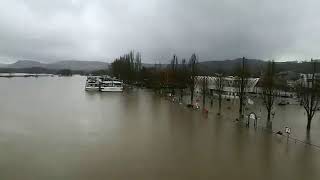 Moselle en crue à Remich [upl. by Modnar]