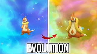 Buizel  Floatzel  Evolution in Pokemon Scarlet amp Violet  SV [upl. by Spoor]