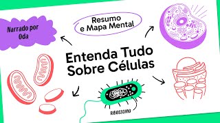 CITOLOGIA  BIOLOGIA  QUER QUE DESENHE [upl. by Faires]