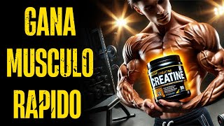 ¡Cómo usar CREATINA para AUMENTAR tu MASA MUSCULAR [upl. by Ribak]