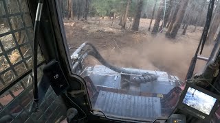 Land Clearing with a Takeuchi TL12 and FAE head Shot from the cab [upl. by Pollerd898]