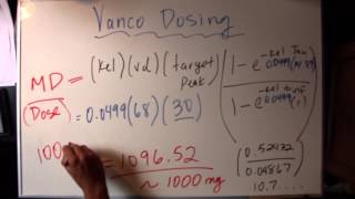 Vancomycin Dosing [upl. by Norreg271]